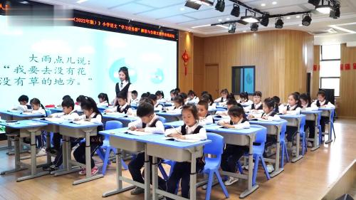 《雨点儿》部编版一上语文任务群2025研讨课视频-臧洁