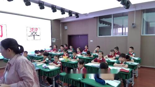 《搭船的鸟》部编版三上语文“好教师”课堂教学风采展示活动2025研讨课视频