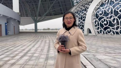 高中语文-项目学习：改造我们的学习、人的正确思想是从哪里来的、实践是检验真理的唯一标准、语言盲盒制作说课