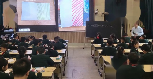 《认识几分之一》人教版三上数学特教教师展示课视频