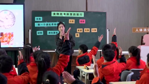 《食物在肚子里的运行》2025教科版四上科学骨干教师课例研磨培训展示活动课视频
