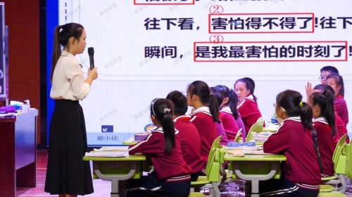 《我的心儿怦怦跳》部编版四上2024年岳阳市“强基工程”推进暨小学语文课程教学改革研讨课视频