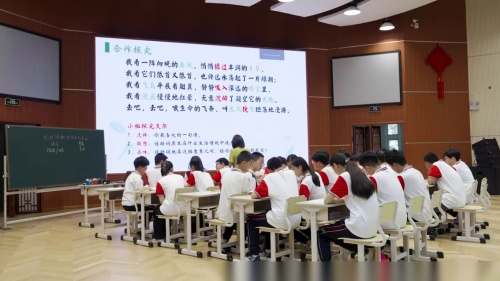 《现代诗歌的陌生化表达》部编版语文七年级-初中语文全国教学基本功交流观摩课-湖北