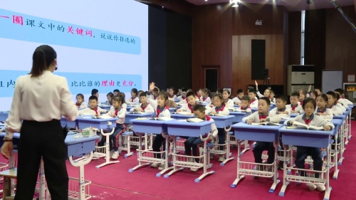 《美丽的小兴安岭》部编版三上语文东营市2023年学科优质课评定一等奖视频