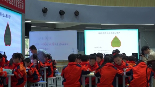 《什么是周长》2025北师大版三上数学-成都市小学数学名师工作室送教金堂观摩课视频-武文政