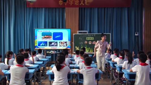 《海底世界》部编版三年级语文2024年抚州市小学语文教师素养展示大赛一等奖视频