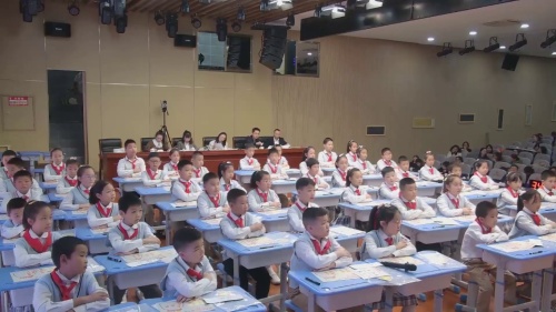 《这些事我来做》部编版四上道德与法治竞赛课视频