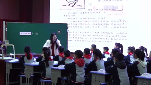 《白鹅》2025部编版四下语文-落实新课标，研究新课堂，实现新探索观摩课视频