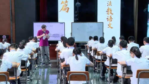 《故乡》2025部编版九年级语文-首届青语杯名师示范课视频