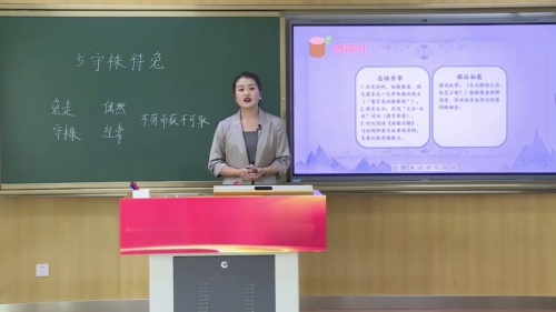 《守株待兔》部编版三下语文2025青年教师教学竞赛模拟课视频