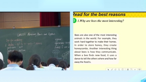 《Unit 4 Amazing Plants and Animals section B 2a-2d 》2025新人教八上英语新课标教师能力提升研训活动研讨课视频