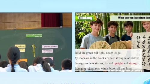 《Unit 4 Amazing Plants and Animals section A 2a-2e》2025新人教八上英语新课标教师能力提升第二次研训活动研讨课视频