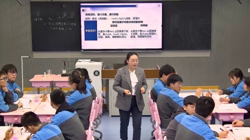 《沉淀溶解平衡的调控第2课时》山东科技版高中化学选择性必修一新课标新教材展示课视频