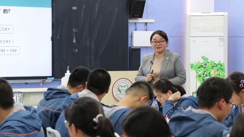 《水溶液中的多重平衡体系 第2课时缓冲溶液》人教版高三化学复习课展示视频