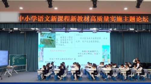 《我要的是葫芦》部编版二上语文优质课视频