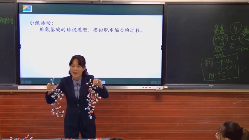 《 蛋白质是生命活动的主要承担者第4课时》人教版高二生物选择性必修一优质课赛课视频