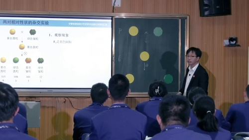 《孟德尔的豌豆杂交实验（二）第1课时》新人教版高二生物选择性必修二优质课赛课视频