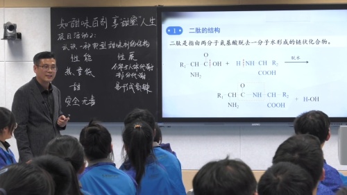 《项目活动 2：认识一种典型甜味剂的结构》人教版高中化学基于大概念和模型认知的优质课比赛一等奖视频-学基于大概念和模型认知的优质课比赛一等奖视频