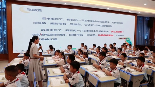 《搭船的鸟》部编版三上语文2025“赋能教师成长 深耕语文课堂”观摩研讨课视频
