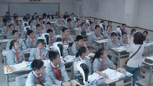 《物质运输的器官——血管 》济南版七下生物教学实录视频