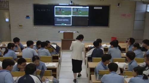 《 种群的数量特征》新人教版高二生物选择性必修二2023赛课一等奖视频