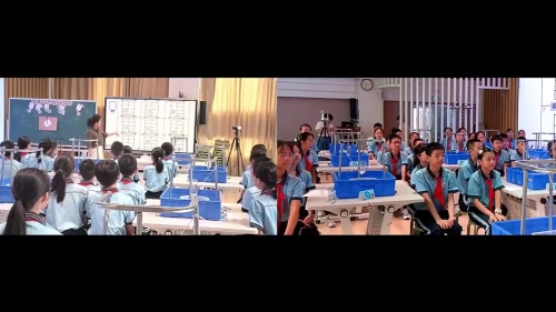 《平衡的智慧》小学综合实践跨域趣探·智育共生展示课视频