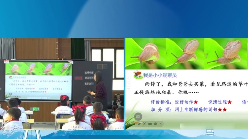 《搭船的鸟》部编版三上语文2025“技术赋能课堂教学 深耕语文素养培养”观摩研讨课视频