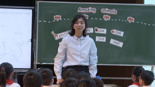 《Unit3 Amazing animals》新人教三上英语2024研讨课视频