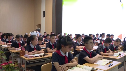 《夏天里的成长》（第二课时）部编版六上语文新课标公开课视频-冯凯馨