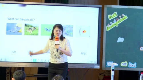 《Unit 3 Amazing Animals A let’s learn》新人教三上英语观摩研讨课视频