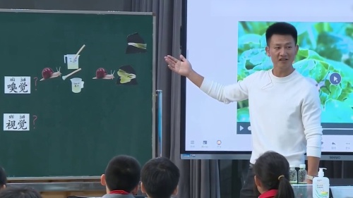《观察蜗牛的反应》湘科版二上科学2025年京渝湘科学教育教学研讨课视频