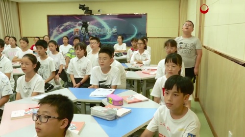 《童年》小学语文（阅读分享交流课）视频