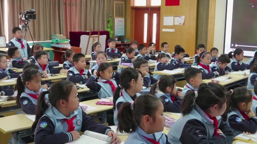 《搭船的鸟》部编版三上语文2025小学语文优质课评选二等奖视频