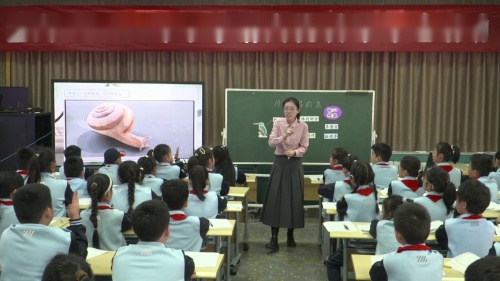 《搭船的鸟》部编版三上语文2025优质课评选特等奖视频