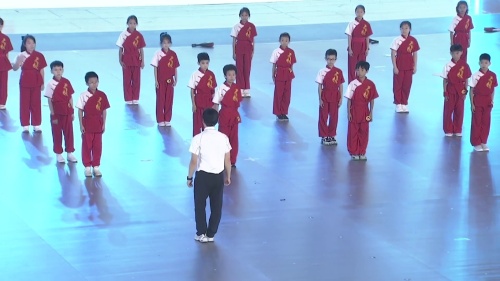 《少年拳——套路拆招与攻防运用》第十届中小学体育与健康课教学展示研讨课视频