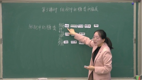 《细胞中的糖类和脂质第3课时 》人教版高二生物选择性必修一优质课赛课视频