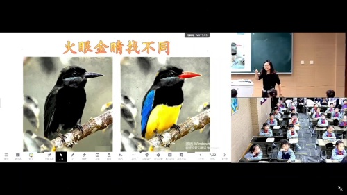 《搭船的鸟-第一课时》部编版三上语文2025名师基地研讨课视频