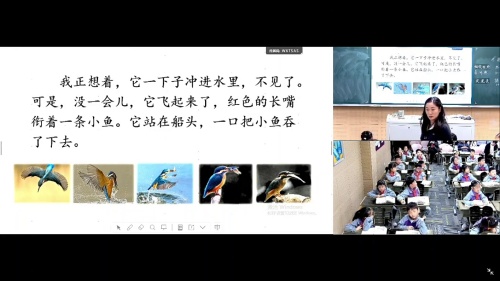 《搭船的鸟-第二课时》部编版三上语文2025名师基地研讨课视频