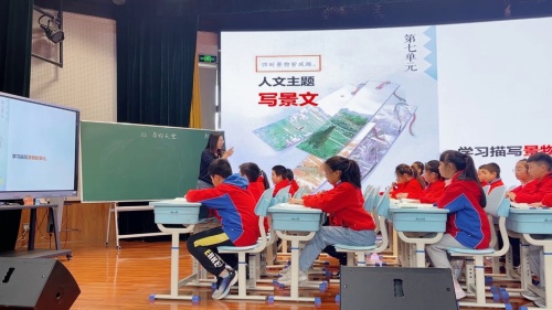 《鸟的天堂》部编版五上语文2025研讨课视频